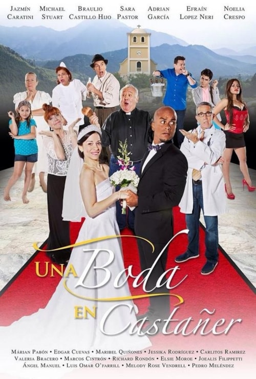 A Wedding in Castañer poster